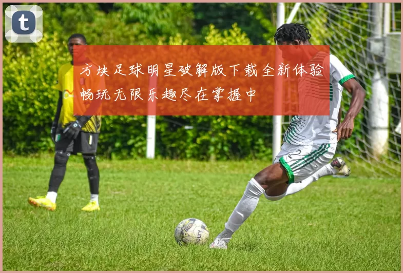 方块足球明星破解版下载全新体验畅玩无限乐趣尽在掌握中