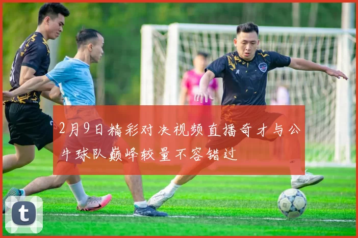 2月9日精彩对决视频直播奇才与公牛球队巅峰较量不容错过
