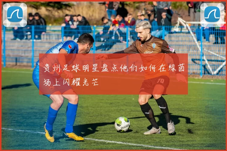 贵州足球明星盘点他们如何在绿茵场上闪耀光芒