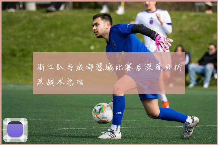 浙江队与成都蓉城比赛后深度分析及战术总结
