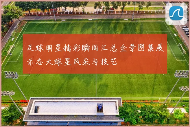 足球明星精彩瞬间汇总全景图集展示各大球星风采与技艺