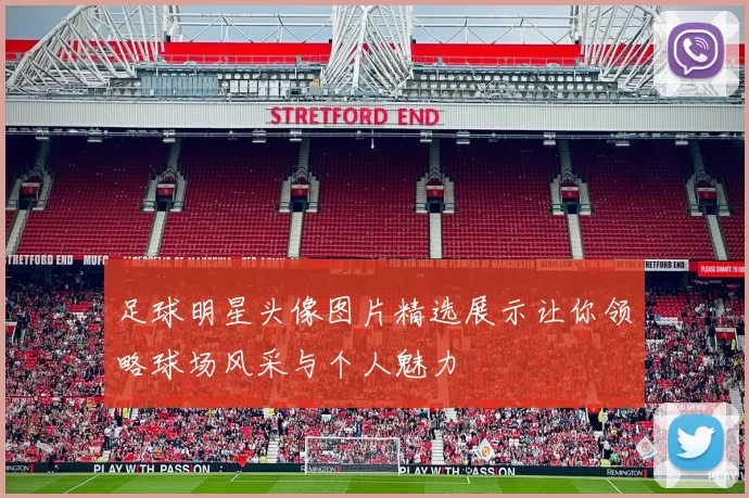 足球明星头像图片精选展示让你领略球场风采与个人魅力