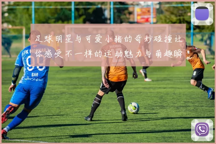 足球明星与可爱小猪的奇妙碰撞让你感受不一样的运动魅力与萌趣瞬间